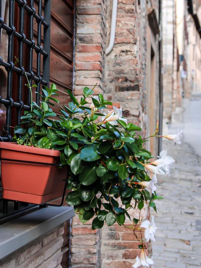 Apartmán Casa Armanni - La Tua Casa Di Pietra Gubbio Exteriér fotografie